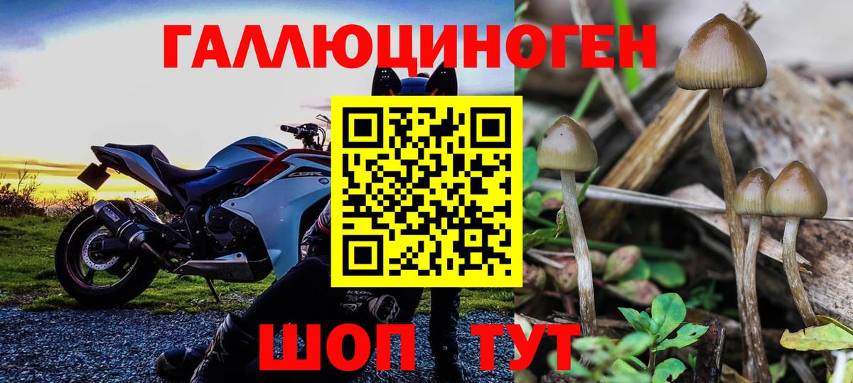 Псилоцибиновые грибы ЛСД  Вход с VPN  Чистополь 