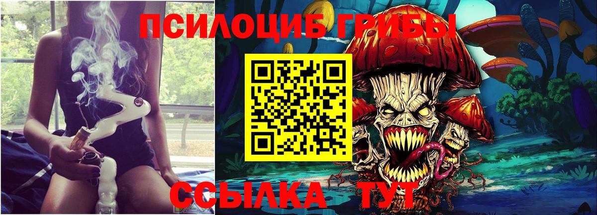 Галлюциногенные грибы Psilocybine cubensis Чистополь